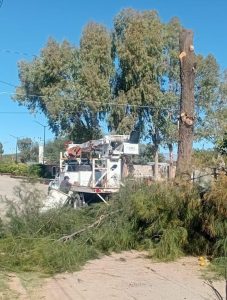 SE REALIZAN LABORES DE LIMPIEZA